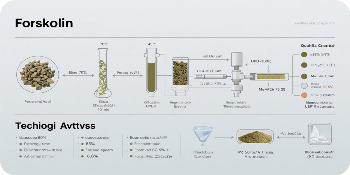 process flow diagram for Forskolin 98% extraction and purification